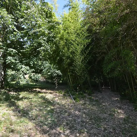 Mas Des Druilles Bed & Breakfast