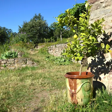Panzió Mas Des Druilles