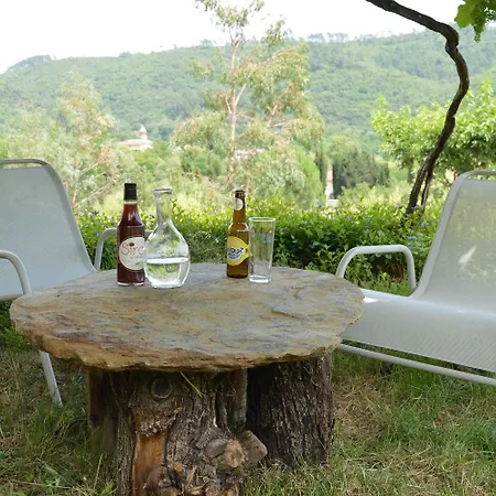 Mas Des Druilles Bed & Breakfast Generargues