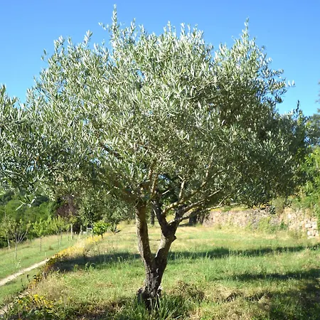 Mas Des Druilles Panzió